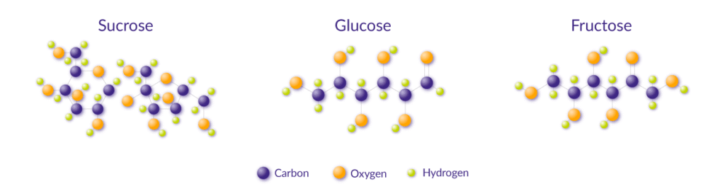A split image showing the chemical structure of (from left to right) Sucrose, Glucose and Fructose.