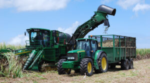 The value of Bonsucro certification and traceability for food and ...