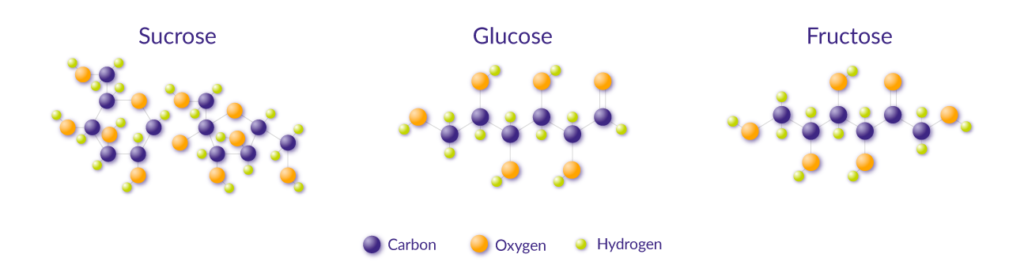 Diagram showing sucrose breaking down into glucose and fructose during sugar inversion.