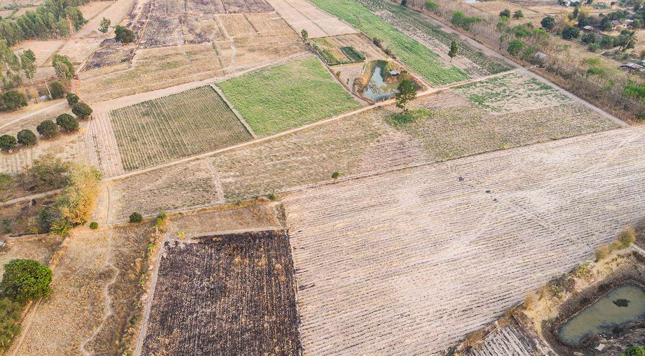 Aerial view of dry agricultural fields after harvest, showing drought conditions and field burning.