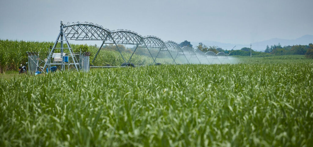 Irrigation system watering a crop field during dry conditions.